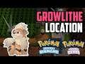How to Catch Growlithe - Pokémon Brilliant Diamond & Shining Pearl