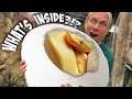 SEEING WHATS INSIDE MY G-STRIPE BALL PYTHON EGGS!! | BRIAN BARCZYK