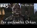 Teso #045: Der entfeselte Orkan [Lets Play] [The Elder Scrolls Online]