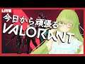 【VALORANT】今日から頑張るVALORANT|4日目【#のどかのおへや】