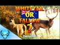 Which One Would YOU Choose? Whitetail Deer or Fallow Deer in New Zealand? Call of the Wild
