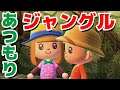【ゲーム遊び】あつまれ どうぶつの森 ジャングルたんけん 伝説のたまごを探しに行くぞ！【アナケナ&カルちゃん】あつ森 Animal Crossing: New Horizons