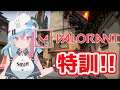 【VALORANT】ヴァロ修行！！【新人Vtuber】