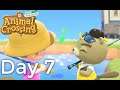 Animal Crossing New Horizons - Gameplay Walkthrough Day 7 - Fish Bug Catching Challenge