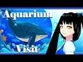🐟 Aquarium Tour 🐟【Vlog】