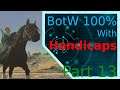 BotW 100% with Handicaps Part 13