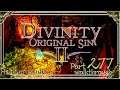 Divinity Original Sin 2 | Honour Mode Walkthrough | Part 277 The Spirit of White Magister Hux