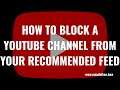 How to Block a YouTube Channel from Your Recommended Feed