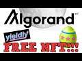 How to get a FREE NFT?!