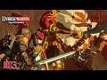 Hyrule Warriors: Age Of Calamity #13 The Road Home, Besieged