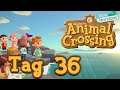 Animal Crossing: New Horizons - Tag 36: Größer, Besser, Schöner, Teurer - Nook's Laden Deluxe