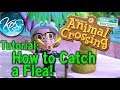 Animal Crossing Tutorial - HOW TO CATCH A FLEA / My ANIMALS ARE ITCHY - New Horizons