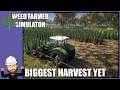 Expanding Our Area Biggest Harvest Yet - Weed Farmer Simulator