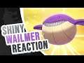 Shiny Wailmer Reaction! | 129 Encounters | Wild Hunt | Pokémon Sword Shield