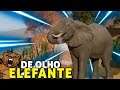 Elefante Africano | De olho nos animais - Planet Zoo