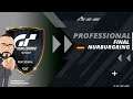 GT SPORT | WARM UP E-SPORTS | PROFESSIONAL | NURBURGRING | FINAL | T16