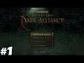 Ray play Baulders Gate Dark Alliance #1: Intro, Act 1 and I really missed this game...