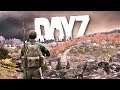 Disturbing a HORNETS NEST in DayZ...
