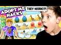 HACKS TO DUPLICATE MYTHIC EGG in Roblox Adopt Me!?!