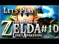 Let's Play The Legend of Zelda Link's Awakening - Part 10 - Level 6 Face Shrine! (Nintendo Switch)