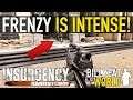 No HUD FRENZY Is Seriously INTENSE! | INSURGENCY SANDSTORM (New 1.3 Update)