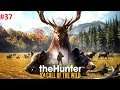 Прохождение: The Hunter Call of the Wild - Часть 37 Коннорс: Пожарная охрана