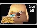 Animal Crossing: New Horizons - Live 59 🏝️ NFC Viktor am Start! :D