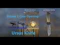 CS-GO Prisma Case 2 Knife Unboxing Ursus Knife
