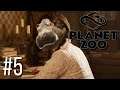 Planet Zoo #5 - HIPPO BABIES!!!