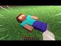This minecraft video will make you confused...