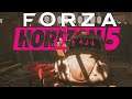 WIR FINDEN EINEN KÄFER MIT WILDEM BODYKIT! - FORZA HORIZON 5 PREVIEW | Lets Play Forza Horizon 5