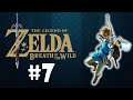 JOURNEY TO THE LAST SHINE - Zelda Breath Of The Wild - #7