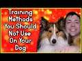 Training Methods You Shouldn't Use On Your Dog | Pupdate | MumblesVideos