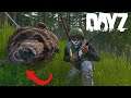 DAYZ - LIVONIA - NOUVELLE MAP + CHASSE A L'OURS ! EP2S02