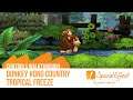 Donkey Kong Country Tropical Freeze | GameAccess Controls Walkthrough