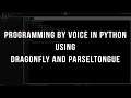 Voice Coding - Leap Year program in Python using Dragonfly and Parseltongue