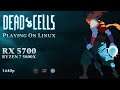 Dead Cells | RX 5700 + RYZEN 7 5800X | Manjaro 20.2.1 | 1440P | Linux Gaming
