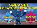 Pokemon Sword And Shield Sneasel Evolution