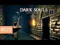 Dark Souls REMASTERED - Rogue  | [Gameplay] [German/Deutsch] #023: Der lange Weg in den Dreck.....