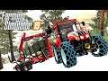 Farming simulator 2019 - FORESTRY & LOGGING Felsbrunn DREAM FARM  #6