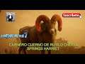 CARNERO CUERNO DE RUTILO CHOLLA SPRINGS HARRIET TOMA UNA MUESTRA DE ANIMALES LEGENDARIOS Naturalista