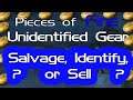 Fine Piece Of Unidentified Gear - Sell, Identify or Salvage?