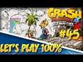 LET'S PLAY 100% FR HD | Crash Bandicoot 4 : It's About Time #45 : "POUAH C'EST MOCHE !!!"