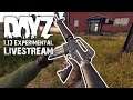 Searching for the NEW M16 Rifle in DayZ 1.13 Experimental