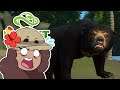 Cloudy With A Chance of CHAOS!! π¦ Planet Zoo: Adventures in Asia β’ #3