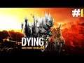 Dying Light | കഥ തുടങ്ങുന്നു Infiltrating Quarantine Zone | Story Mode EP -1