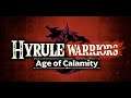 Hyrule Warriors: Age of Calamity Demo Run