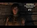 Let's Play ENDERAL  SPECIAL EDITION Forgotten Stories(Skyrim/Ultra)#1 Charaktererstellung