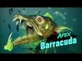 Maneater - Apex Barracuda Fight
