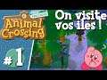 On visite vos îles sur Animal Crossing ! #1 - Île tropicale